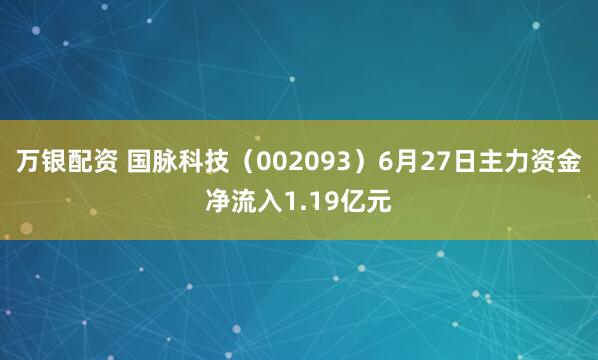 万银配资 国脉科技（002093）6月27日主力资金净流入1.19亿元