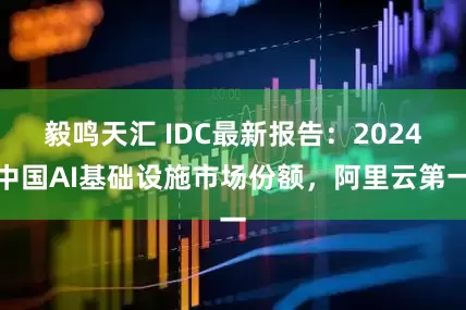 毅鸣天汇 IDC最新报告：2024中国AI基础设施市场份额，阿里云第一