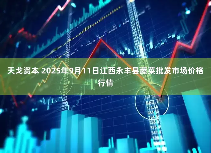 天戈资本 2025年9月11日江西永丰县蔬菜批发市场价格行情