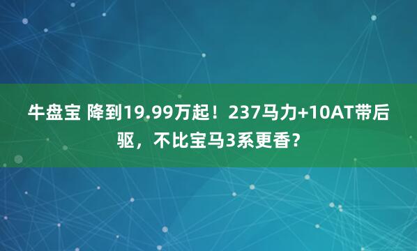 牛盘宝 降到19.99万起！237马力+10AT带后驱，不比宝马3系更香？